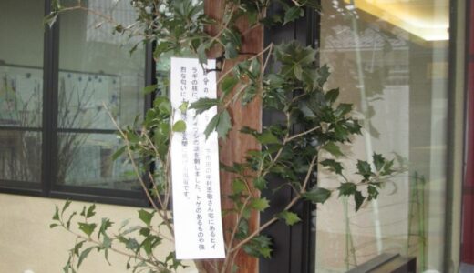 節分～「ヤイカガシ」・「蟹柊」「カニカヤ」～