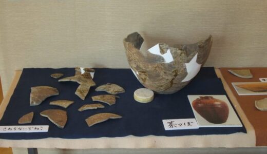 中島遺跡から発掘された土器の展示