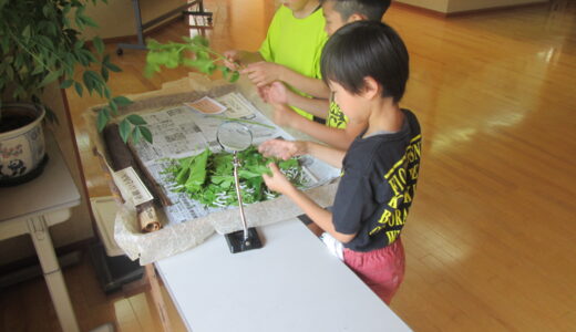 お蚕さまと子どもたち