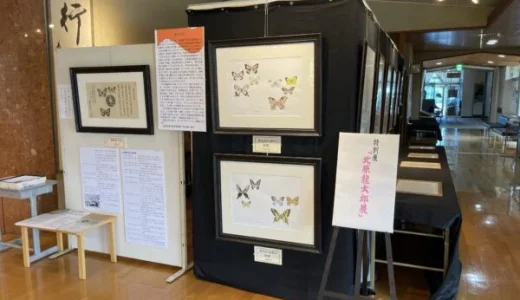 特別展 北原龍太郎展