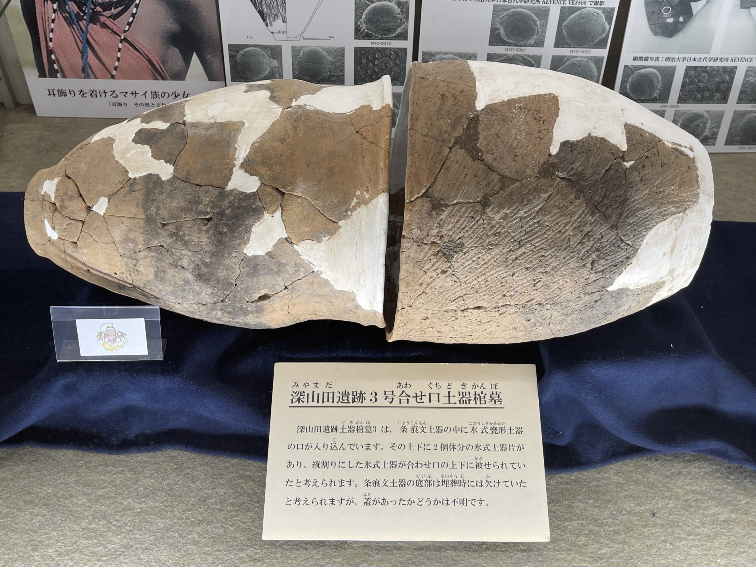 深山田遺跡3号合せ口土器棺墓 - 高森町歴史民俗資料館 時の駅