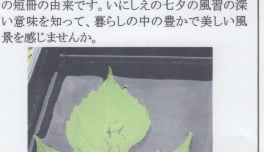 大人の体験講座 参加者募集！